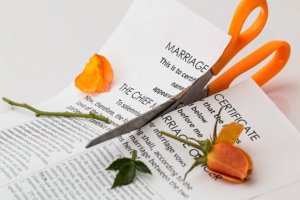 Scissors cut a marriage certificate and orange rose in half